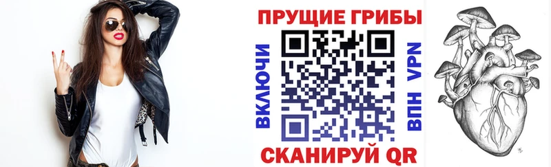 мега сайт  Павловская  Галлюциногенные грибы Psilocybe 